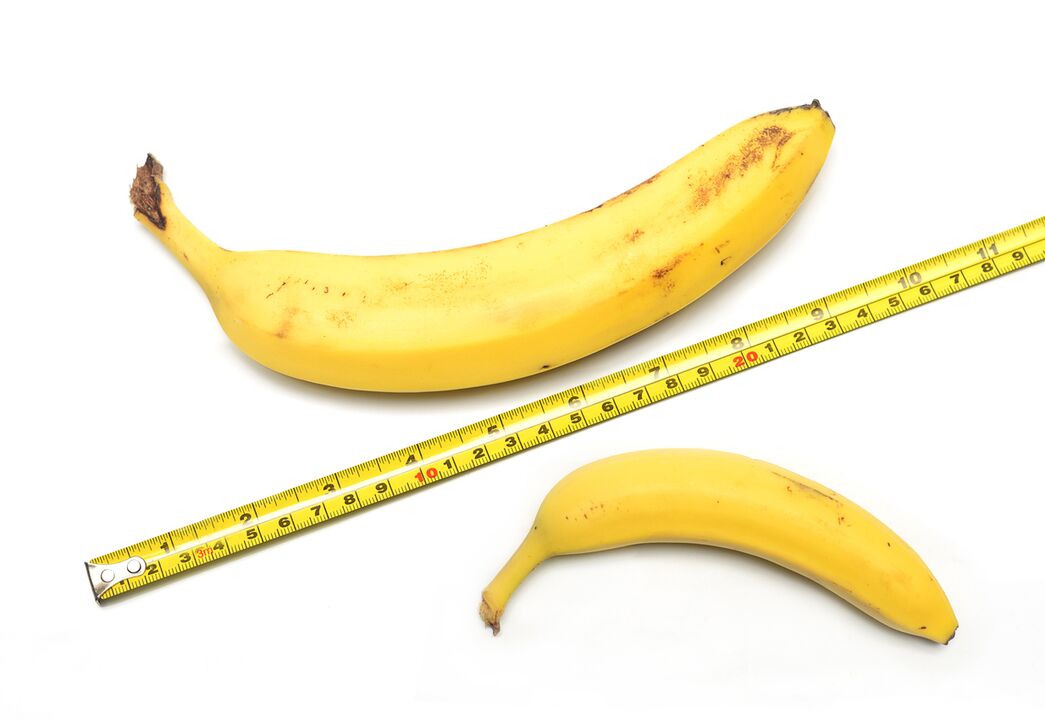 hasil pembesaran penis